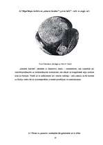 Referāts 'Rakstības pirmsākumi pasaulē un Latvijā', 19.