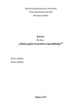 Referāts 'Gaiļu reprodukcija', 1.