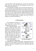 Referāts 'Gaiļu reprodukcija', 4.