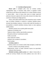 Referāts 'Investīcijas uzņēmējdarbībā', 9.