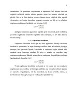 Referāts 'Investīcijas uzņēmējdarbībā', 20.