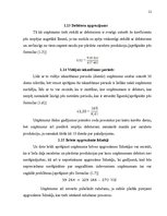 Referāts 'Investīcijas uzņēmējdarbībā', 21.