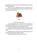 Referāts 'Tekila un teiklas ražošanas tehnoloģija', 14.