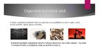 Prezentācija 'Organiskais kurināmais', 3.