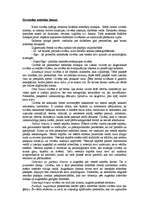 Eseja 'Persona un personība', 4.