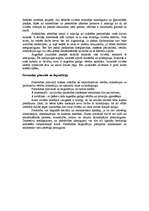 Eseja 'Persona un personība', 5.