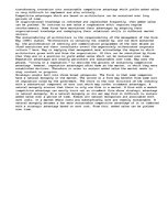 Eseja 'Competitive Advantage', 3.