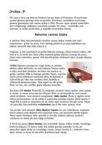 Referāts 'Vannas istabas interjers', 2.