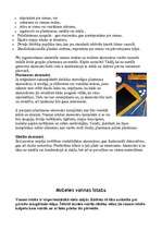 Referāts 'Vannas istabas interjers', 5.