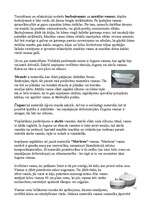 Referāts 'Vannas istabas interjers', 10.