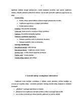 Biznesa plāns 'Cilvēku faktorā ieguldītās inovācijas', 4.