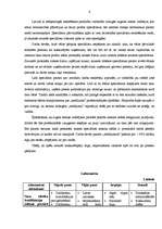 Biznesa plāns 'Cilvēku faktorā ieguldītās inovācijas', 6.