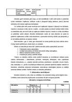 Biznesa plāns 'Cilvēku faktorā ieguldītās inovācijas', 10.