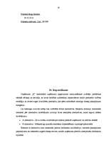 Biznesa plāns 'Cilvēku faktorā ieguldītās inovācijas', 19.