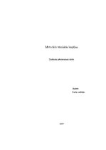 Referāts 'Motociklu tehniskās iespējas', 1.