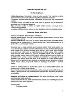 Referāts 'Civiltiesību vispārējā daļa (pamati)', 1.