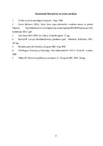 Referāts 'Valsts loma tirgus un plānveida ekonomikā', 17.