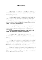 Konspekts 'Vadītājs un līderis', 1.