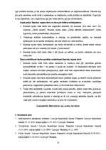 Prakses atskaite 'Jurista prakse', 22.