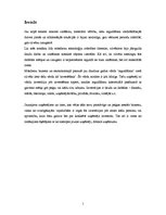 Referāts 'Investīcijas uzņēmuma dibināšanai un attīstībai', 1.