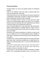 Referāts 'Investīcijas uzņēmuma dibināšanai un attīstībai', 2.