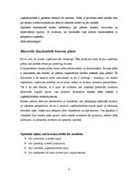 Referāts 'Investīcijas uzņēmuma dibināšanai un attīstībai', 3.