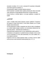 Referāts 'Investīcijas uzņēmuma dibināšanai un attīstībai', 6.