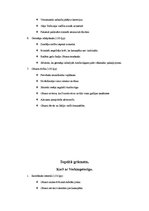 Konspekts 'Grāmatas "Gallu karš" konspekts', 39.