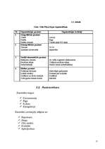 Referāts 'Tirgus izpēte SIA "Baltic Cinema” ', 17.