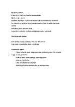 Prakses atskaite 'Aprūpes plāns kardioloģijā', 7.