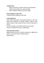 Prakses atskaite 'Aprūpes plāns kardioloģijā', 8.