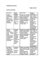 Prakses atskaite 'Aprūpes plāns kardioloģijā', 11.