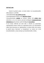 Referāts 'Komandītsabiedrības', 13.