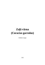 Referāts 'Zaļā vārna - referāts bioloģijā.', 1.