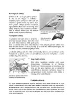 Referāts 'Zaļā vārna - referāts bioloģijā.', 3.