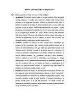 Eseja 'Reklāmas analīze pēc Efektu hierarhijas modeļa', 3.