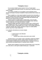 Referāts 'Velosipēda izmantošana ikdienā', 4.