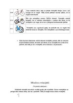Referāts 'Velosipēda izmantošana ikdienā', 7.