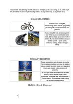 Referāts 'Velosipēda izmantošana ikdienā', 8.