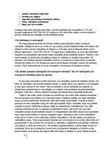 Referāts 'Velosipēda izmantošana ikdienā', 12.