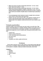 Referāts 'Velosipēda izmantošana ikdienā', 17.