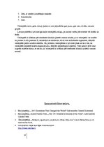 Referāts 'Velosipēda izmantošana ikdienā', 18.