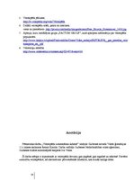 Referāts 'Velosipēda izmantošana ikdienā', 19.