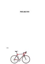 Referāts 'Velosipēda izmantošana ikdienā', 21.