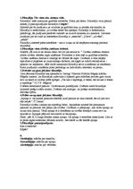 Konspekts 'Filosofija', 1.