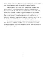 Biznesa plāns 'Biznesa plāns "Moto taxi"', 6.