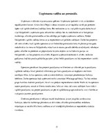 Biznesa plāns 'Biznesa plāns "Moto taxi"', 17.