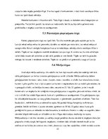 Biznesa plāns 'Biznesa plāns "Moto taxi"', 22.