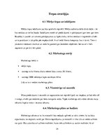 Biznesa plāns 'Biznesa plāns "Moto taxi"', 24.