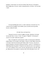 Biznesa plāns 'Biznesa plāns "Moto taxi"', 30.